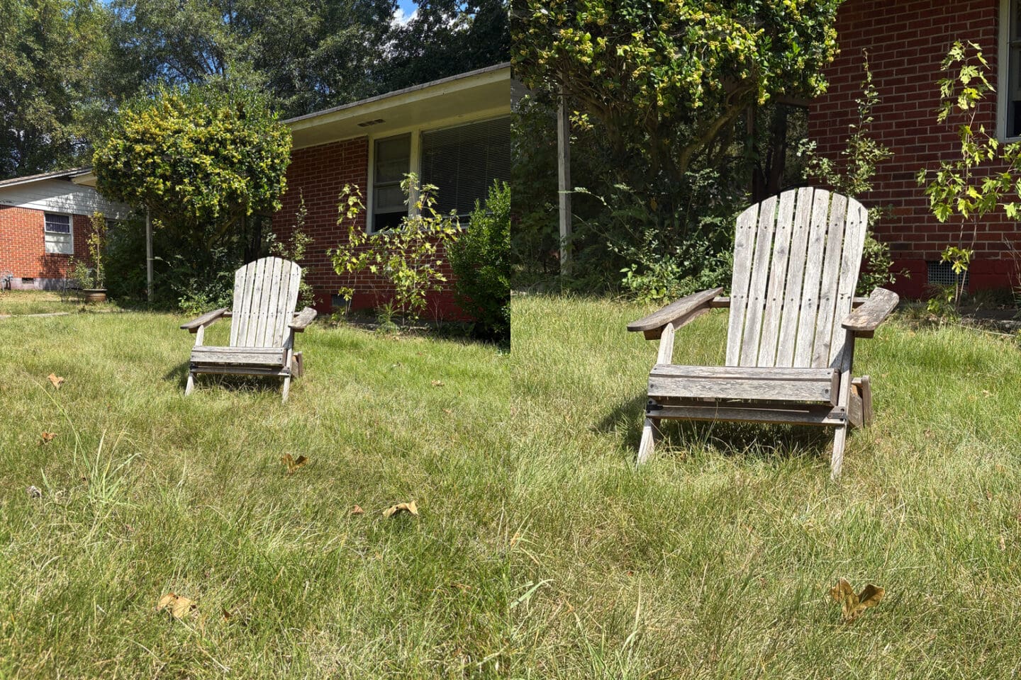 IPhone 16 sample picture: 2X zoom iPhone 16 sample picture: 2X zoom